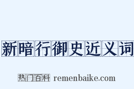 新暗行御史近义词是什么意思的图片